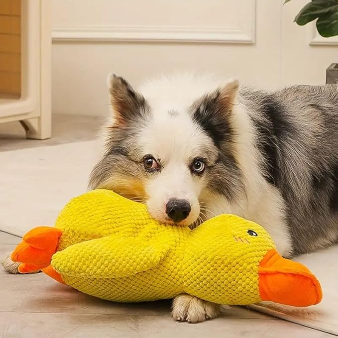 CalmDuck™ - Soothing Dog Toy - Lovehappypets (M)