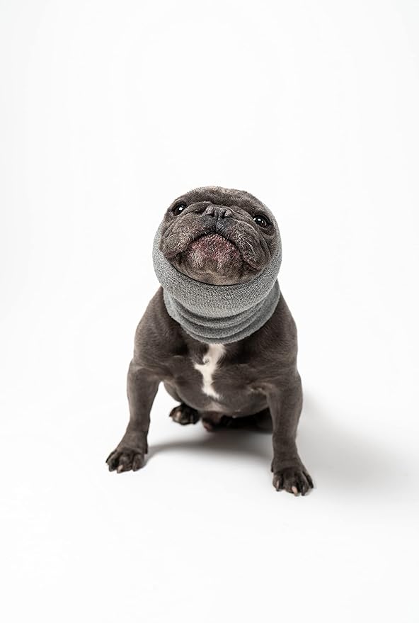 Pet Hoodz for Dogs-Anxiety, Grooming, Ear Muffs, Dog Ear Protection, Calming, Ear Compression, Pet Hoodie, Dog Hoodie (Large, Grey)