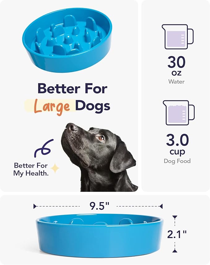LE TAUCI Dog Slow Feeder Bowl,3 Cups Ceramic Maze Pattern for Large Breed,Bule and Green