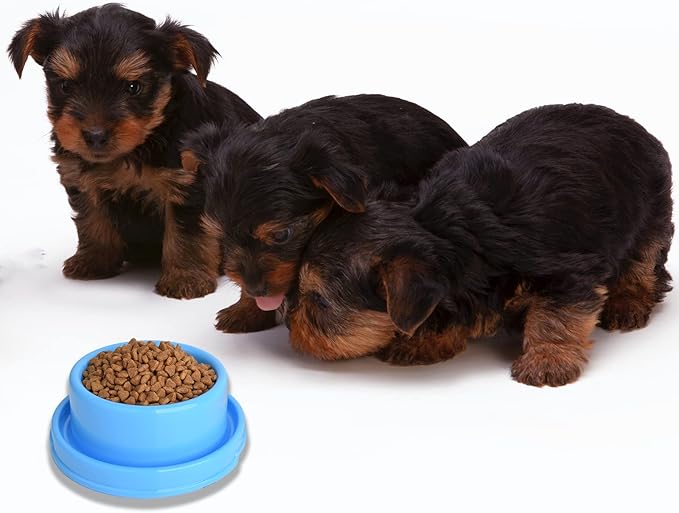 2pcs Dog Bowls Pet Cat Puppy Food Bowls Plastic Round No Spill Water Food Feeder Dish Colorful Feeding Eating Bowls