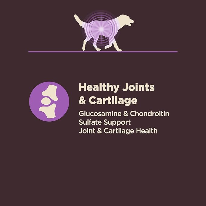 Wellness CORE Digestive Health Senior Dry Dog Food, Wholesome Grains, Natural, Recipe for Dogs with Sensitive Stomachs, Age Advantage Chicken & Brown Rice, (4-Pound Bag)