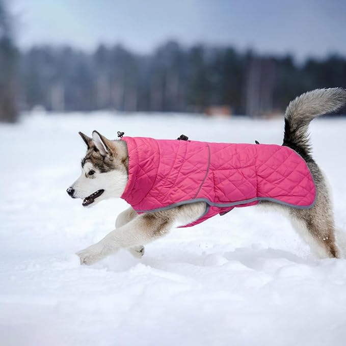 Winter Coat - Waterproof & Windproof Dog Puffer Jacket for Small to Large Dogs - Cold Weather Coat with Built-in Reflective Turtleneck & Adjustable Harness