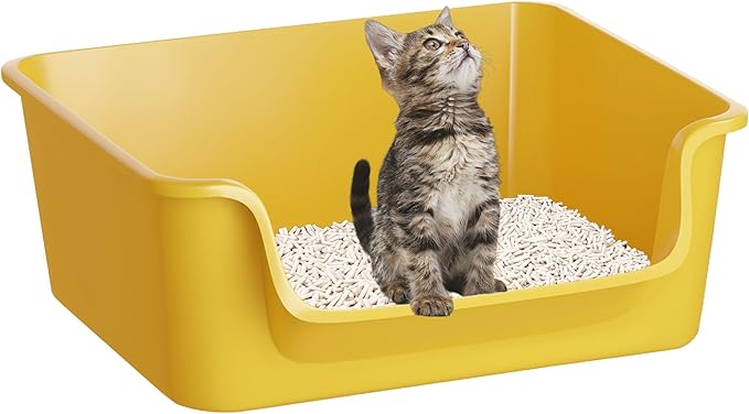 Open-Top Large High Sides Cat Litter Box with Low Entrance, Suitable for Small and Elderly Cats, Anti-Splash, 19.8” x15.6”x7.3” for Indoor Use