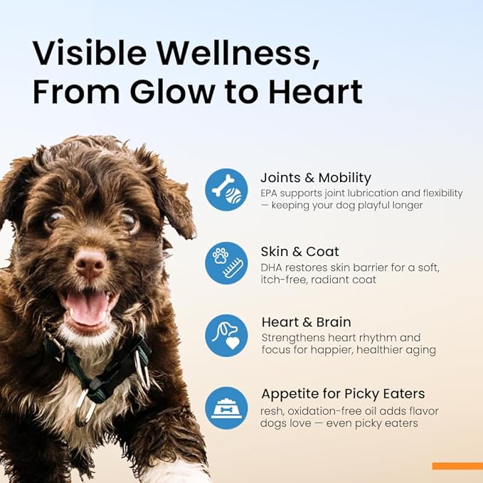Norwegian Omega 3 for Dogs – Human Grade Fish Oil with IFOS 5-Star, Maximum Absorption, Patented, Vet Approved, Supports Skin & Coat, Joints, Heart & Brain, Individually Sealed Sachets