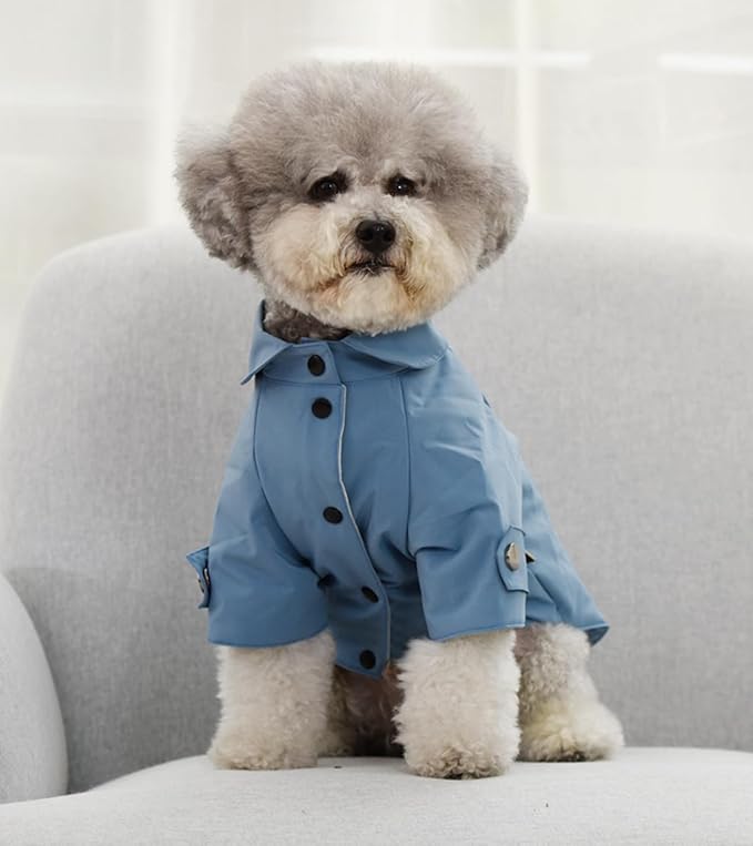 Pet Trench Coat Rain Jacket Spring Dog Clothes for Small Puppy Medium Large Dogs Cat Clothes Windproof Water Resistant - Theodore (XXL, Blue)