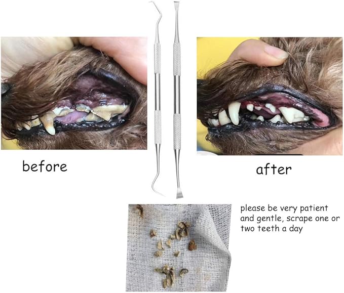 Dog Teeth Cleaning Tools Tarter Remover Canine Dental Scraper Scaler Tools Pet Tooth Cleaner Stainless Steel with Double Head