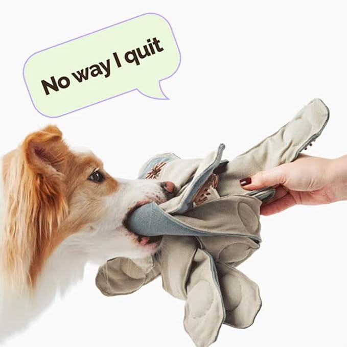 Durable Dog Puzzle Toy, Interactive Enrichment Treat Dispensing Toy for Dogs, Mentally Stimulating Brain Game for Power Chewers, Machine Washable & Eco-Friendly, 31.5in Star Shaped Dog Chew Toy