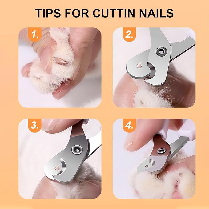 Interactive Cat Toys Ball, Wloom Cat Ball 2.0 Rolling with Nail Clippers for Bored Indoor Adult Cats, USB Rechargeable Automatic Cat Toys, Moving Ball Cat Toy for Cat/Kitten