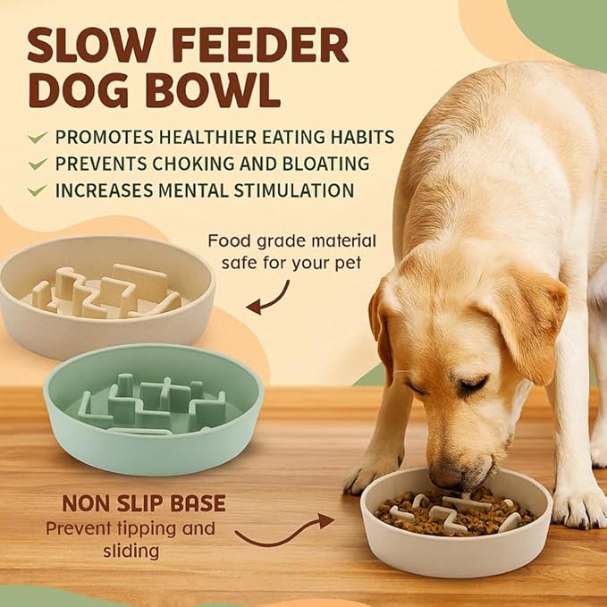 Sustainable Dog Slow Feeder Bowl – 11.8 OZ (350 ML) | Eco-Friendly Material, Dishwasher Safe | Suitable for Dry and Wet Food | Durable and Easy to Clean | Mint Green