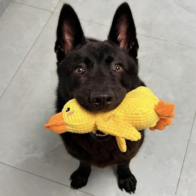 Quacking Duck Dog Toy - Interactive Plush Chew Toy with Realistic Squeaky Sounds for Anxiety Relief - Fun Play Toy for Cats & Dogs, Pet Use Only (Yellow, Medium)