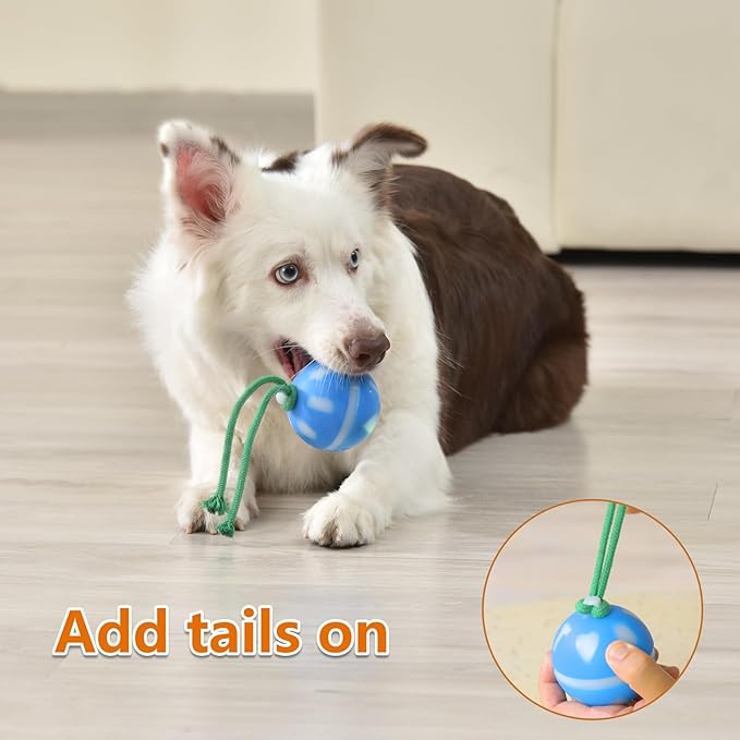 Interactive Dog Toys Ball, Motion Activated Rolling Dog Ball, Automatic Toy for Small/Medium Dogs,USB Rechargeable Dog Enrichment Toys to Keep Them Busy