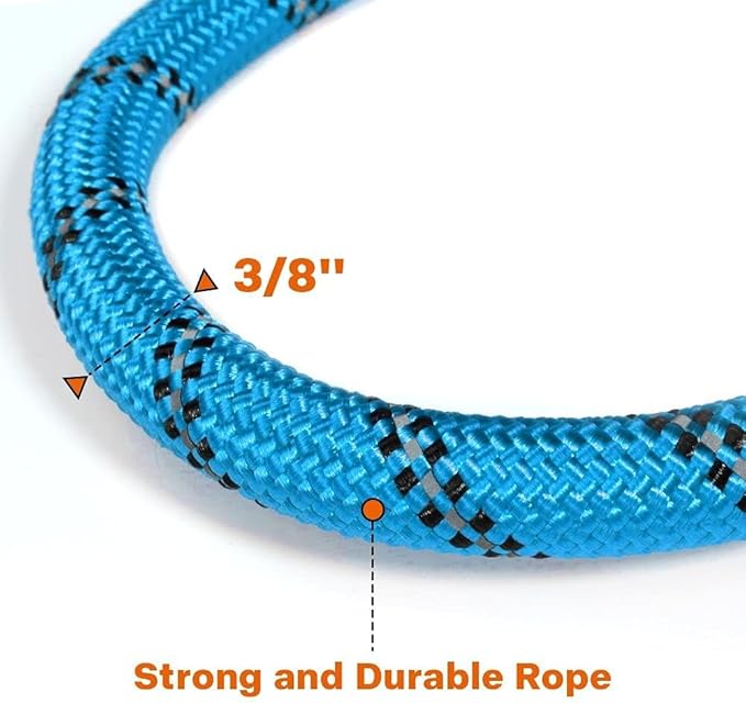 Taglory Rope Dog Leash 6FT with Comfortable Padded Handle, Highly Reflective Threads Leash for Small Dogs, 3/8 inch, Blue