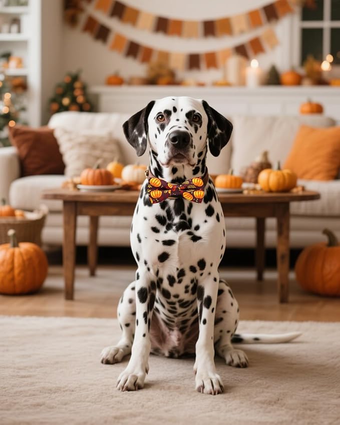 PET SHOW 10 Pack Thanksgiving Big Dog Bow Ties for Large Medium Dogs Sliding Collar Attachments Pumpkin Turkey Bowties Classy Fall Bowknots Party Holiday Pet Grooming Accessories(Large)