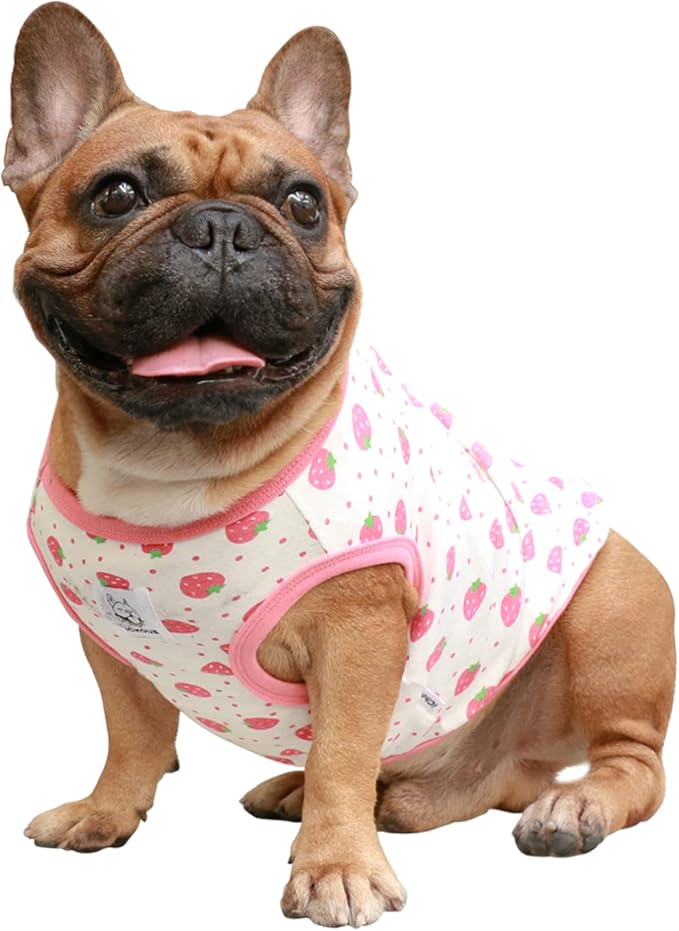 iChoue 100% Breathable Cotton English Bulldog Halloween Cartoon T Shirts Cute Clothes for Medium Large Dogs Vest Tank Tops Terrier Pitbull Strawberry - XLarge