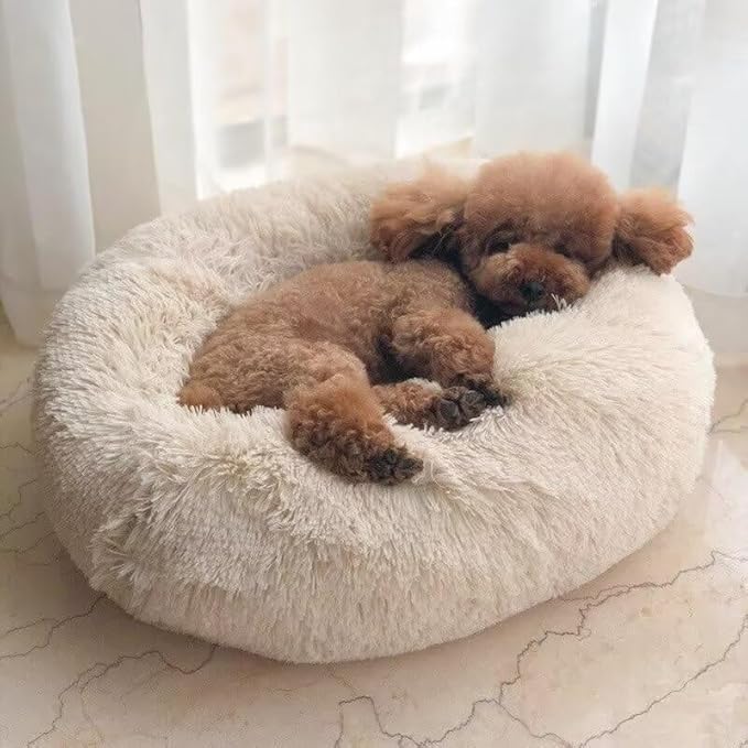 Anxiety Relief Dog Bed - Mr Fluffy Friend Anti-Anxiety Original Calming Plush Pet Bed for Chewing, Crate Training & Thunderstorm Stress (Green,L-70CM)