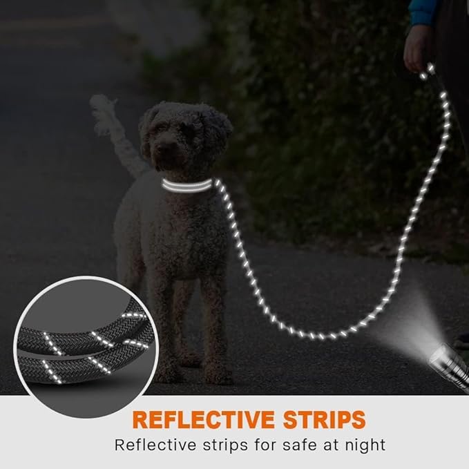 Taglory Rope Dog Leash 4 FT with Comfortable Padded Handle, Highly Reflective Threads Leash for Small Dogs, 3/8 inch, Grey