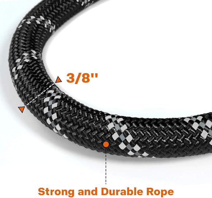Taglory Rope Dog Leash 6FT with Comfortable Padded Handle, Highly Reflective Threads Leash for Small Dogs, 3/8 inch, Black