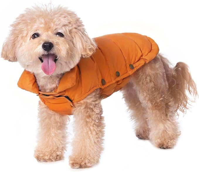 SPACE LION Dog Puffer Jacket, Down Winter Coat, Durable Outdoor Coat for Cold and Windy Conditions, Lightweight & Adjustable Fit Coats for Small Dogs, (Orange, Size 8 Gift Box)