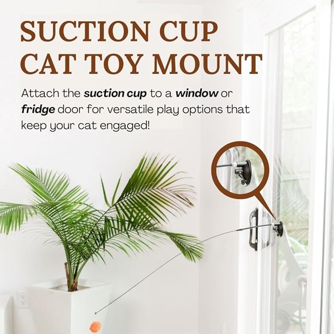 Cat Toys Set Cat Fishing Pole Retractable Wand Suction Cup & Hanging Teaser Wand for Indoor Cats & Kittens Feather Attachments Ribbon