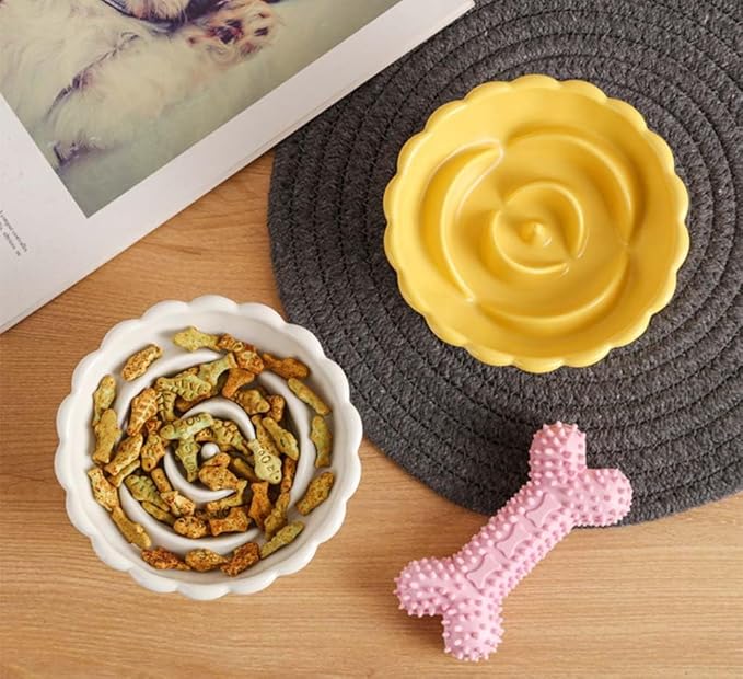 Ceramic Raised Cat Slow Feeder Bowls Whisker Friendly Anti Vomiting Cat Slow Eating Food Bowl for Cats Puppy Dogs Neck Support Plates (White)