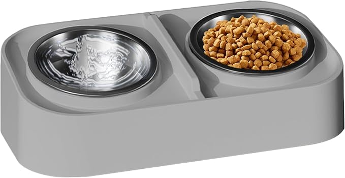Cat Water and Food Bowl - Kitten Feeding Bowl Set, Slanted Non Slip Pet Feeder, Durable Food and Water Dish | Apartment City Living Home Travel for Apartment City Living Home Travel