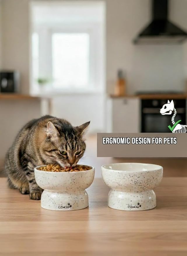 Ceramic Cat Bowls - Elevated cat Bowl, Anti-Vomiting, Whisker Friendly Raised Cat Bowl, Easy to Clean, Non-Slip, Suitable for Small Dogs - Pack of 2 (White-Beige, Orange-Yellow) (White-Beige)