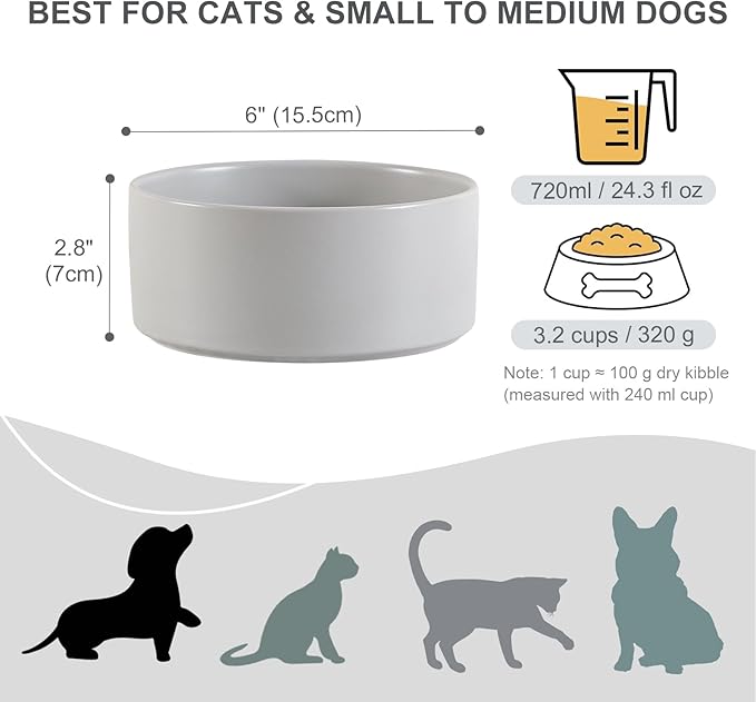 Ceramic Dog Bowl for Food and Water - Pet Feeder Bowl for Small to Medium Dogs and Large Cats - Heavy Ceramic Feeding Dish with Non Slip Base - Dishwasher & Microwave Safe - 2 Pack - 6 Inch - Gray