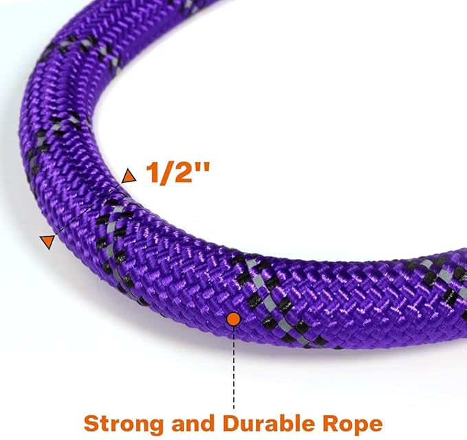 Taglory Rope Dog Leash 4 FT with Comfortable Padded Handle, Highly Reflective Threads Leash for Medium Large Dogs, 1/2 inch, Purple