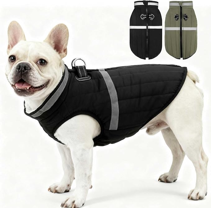 EXPAWLORER Dog Winter Coat Jacket, Thick Warm Waterproof Reflective Puppy Snowsuit With Harness Buit In, Pet Fleece Vest Soft Turtleneck With Zipper Cold Weather For Small Medium Large Dogs - Black, S