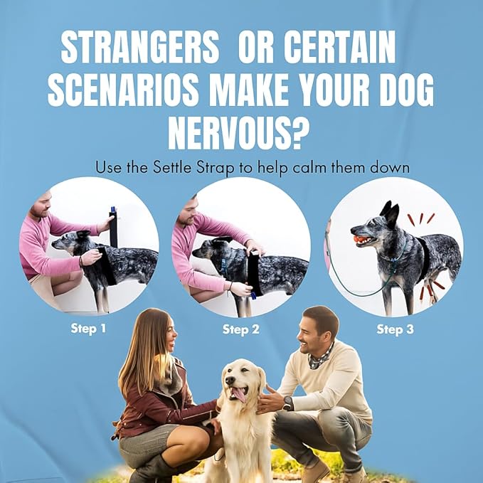 SettleStrap – Fast, Safe & Effective Anxiety Relief for Dogs | USA-Made Canine Calming Pressure Strap for Stress & Hyperactivity
