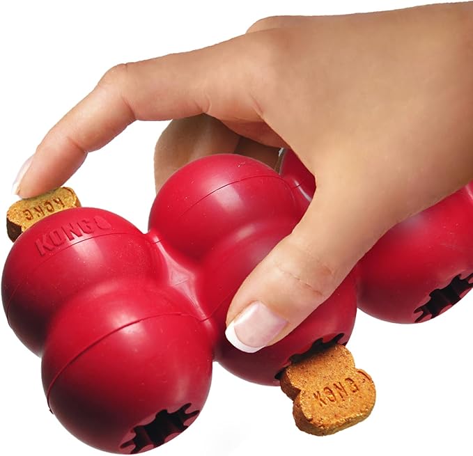 KONG Goodie Ribbon - Stuffable Natural Rubber Dog Toy - with Four Fillable Goodie Grippers for Enrichment Play - Bone-Shaped Chew Toy - for Small Dogs