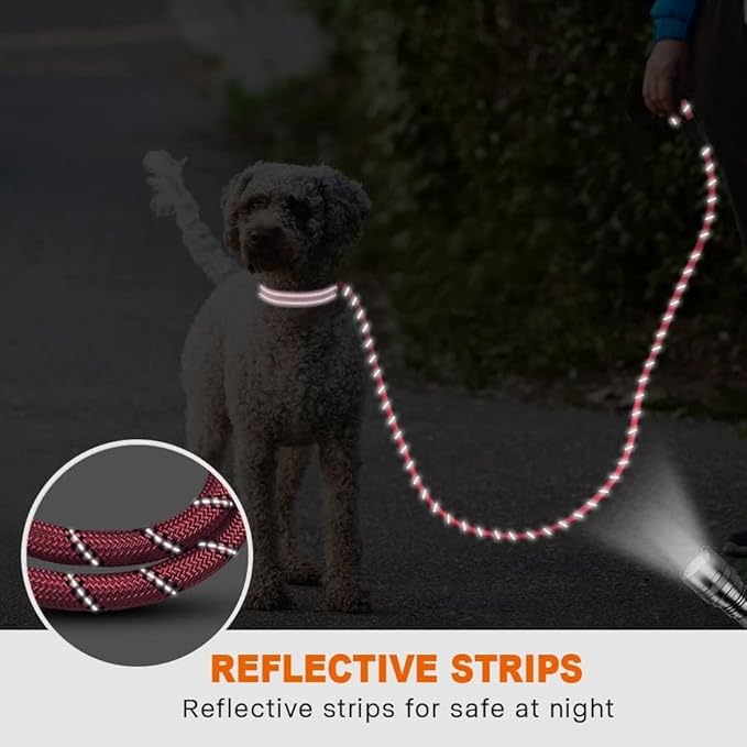 Taglory Rope Dog Leash 4 FT with Comfortable Padded Handle, Highly Reflective Threads Leash for Small Dogs, 3/8 inch, Pink