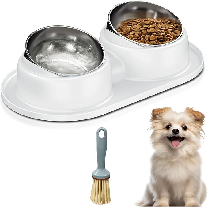 Cat Bowls, Tilted Cat Food and Water Bowl Set Anti Vomiting, Stainless Steel Dog Food Bowl with Base, Non-Slip Pet Feeder Bowls for Puppy Small Dogs Cats