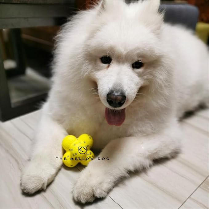 Dog Calming Ball with Handle, Dog Toy Soccer Ball with Handles, Dogs Toys Indestructible for Aggressive Chewers, Squeaky Floating for Small Medium Large Dogs