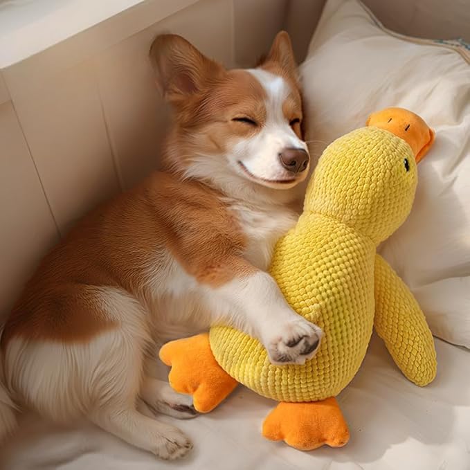 CalmDuck™ - Soothing Dog Toy - Lovehappypets (L)