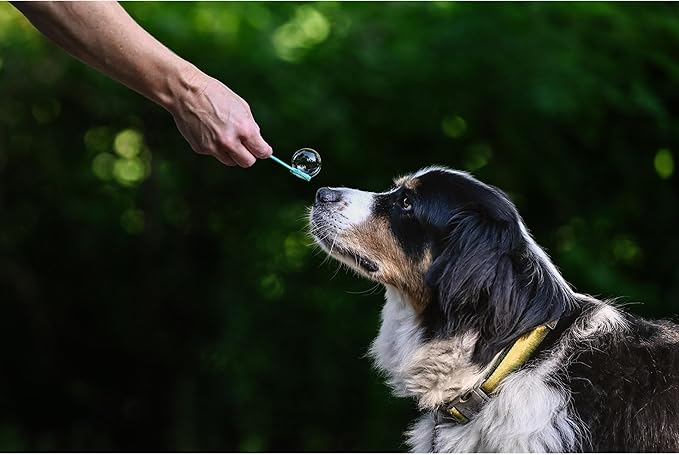 Puppy Love Bubbles, Bacon Scented Bubbles 4oz. Bottle-2 Pack in Bacon Flavor for Dogs
