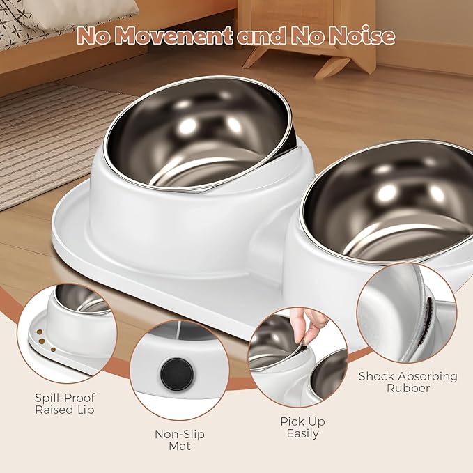 Cat Bowls, Tilted Cat Food and Water Bowl Set Anti Vomiting, Stainless Steel Dog Food Bowl with Base, Non-Slip Pet Feeder Bowls for Puppy Small Dogs Cats