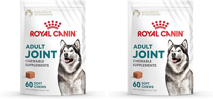 Royal Canin Joint Dog Supplement Soft Chews for Adult Dogs, 60 Count (Pack of 2)