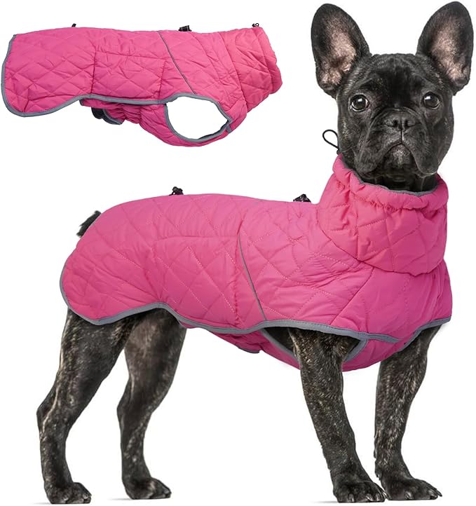Winter Coat - Waterproof & Windproof Dog Jacket for Small to Large Dogs - Cold Weather Coats with Built-in Harness & Reflective Turtleneck