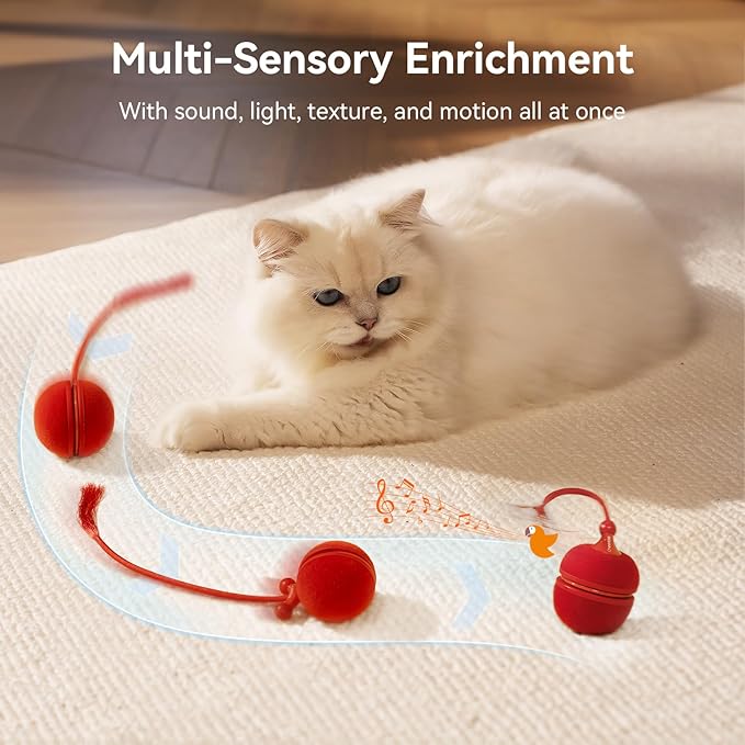 Cheerble 2 in 1 Interactive Cat Toys for Indoor Cats - Wicked Ball Duo2 Automatic Cat Toy, Dual Interchangeable Shells, Electric Cat Toy Ball with Chirping Sounds, Rechargeable Moving Kitten Toys, Red