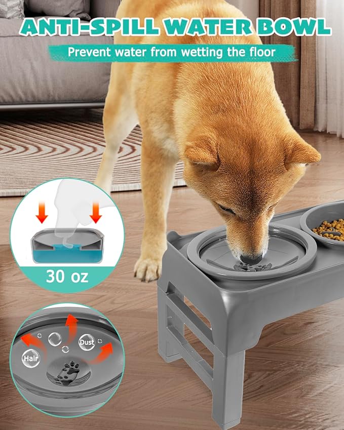 Elevated Dog Bowls, Slow Feeder & No Spill Water Bowl Stand, Raised Food Bowls with 4 Adjustable Heights for Small Medium Large Dogs