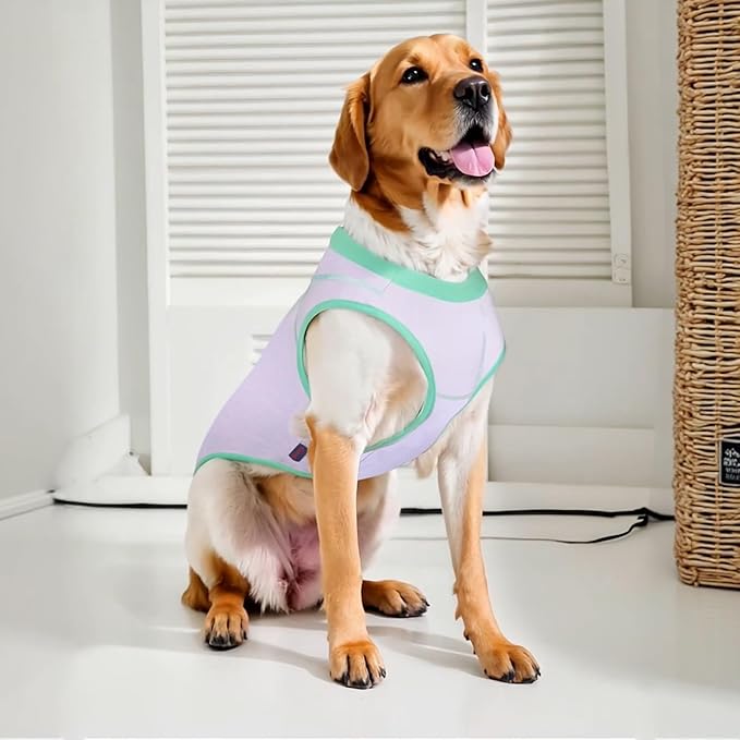 2 Pack Dog Summer Clothes Color Blocking Dog Shirts for Medium/Large Dogs Stretchable Doggy Cooling Vest Breathable Sun Protection Shirt Fashion & Bright Color for Boys Girls