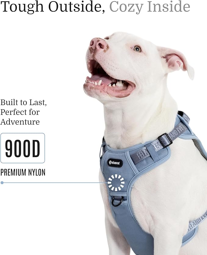 2025 New Edition, Fei & Eve Classic Dog Harness - Quick-Release Buckles | 3-Point No-Pull Control | Heavy-Duty 900D Nylon | Dual Safety Handles | Breathable Mesh | Adjustable Fit | Medium,Blue