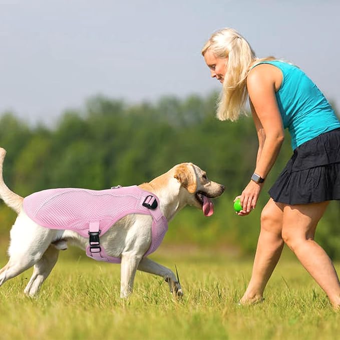 Kuoser Dog Cooling Vest, Pet Cooler Coat, Breathable Doggie Cool Jackets for Medium Dogs, Reflective Cooling Harness, Puppy Summer Essentials Pink L