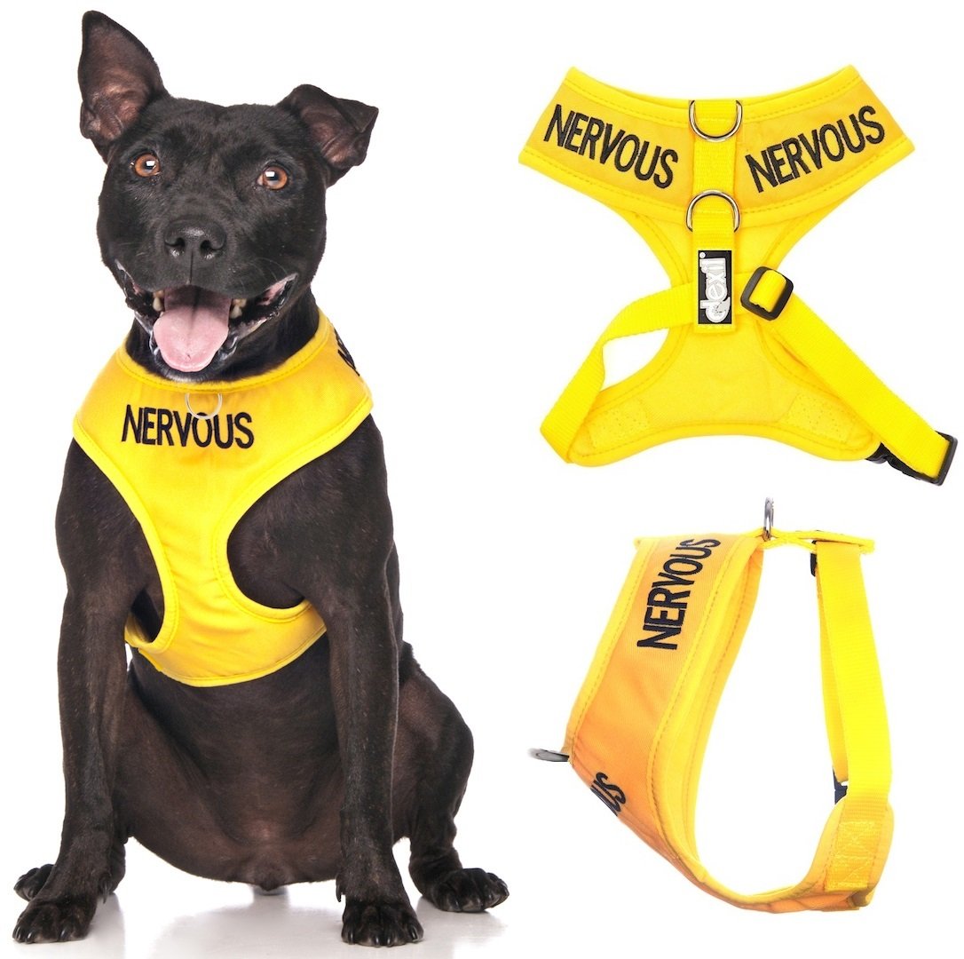 Nervous Yellow Color Coded Waterproof Padded Adjustable Non Pull Front and Back Ring Alert Warning Medium Vest Dog Harness Prevents Accidents By Warning Others of Your Dog in Advan