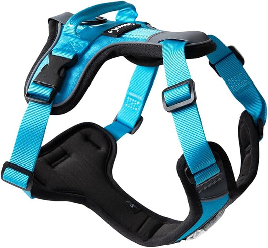 ShawnCo Basecamp Dog Harness, No-Pull Pet Vest with 3 Leash Clips, Padded, Reflective, Lightweight and Adjustable Harness with Handle for Small, Medium and Large Dogs (Oceanic Blue, XS)