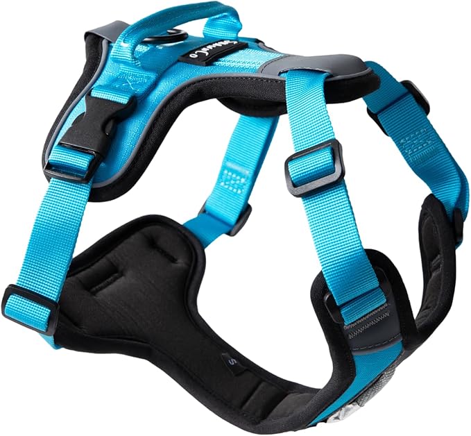 ShawnCo Basecamp Dog Harness, No-Pull Pet Vest with 3 Leash Clips, Padded, Reflective, Lightweight and Adjustable Harness with Handle for Small, Medium and Large Dogs (Oceanic Blue, M)