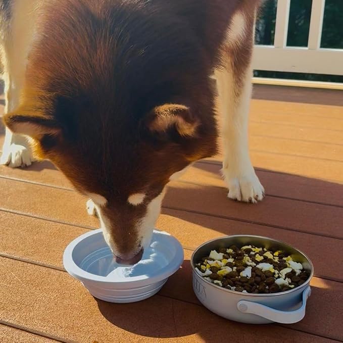 3-in-1 Travel Dog Bowl Set – 30 OZ Stainless Steel + 20 OZ Collapsible Water Bowl Lid | BPA-Free, Anti-Slip, Portable Dog Bowl w/Handle/Water Bottle Holder with Carabiner | Blue Bowls