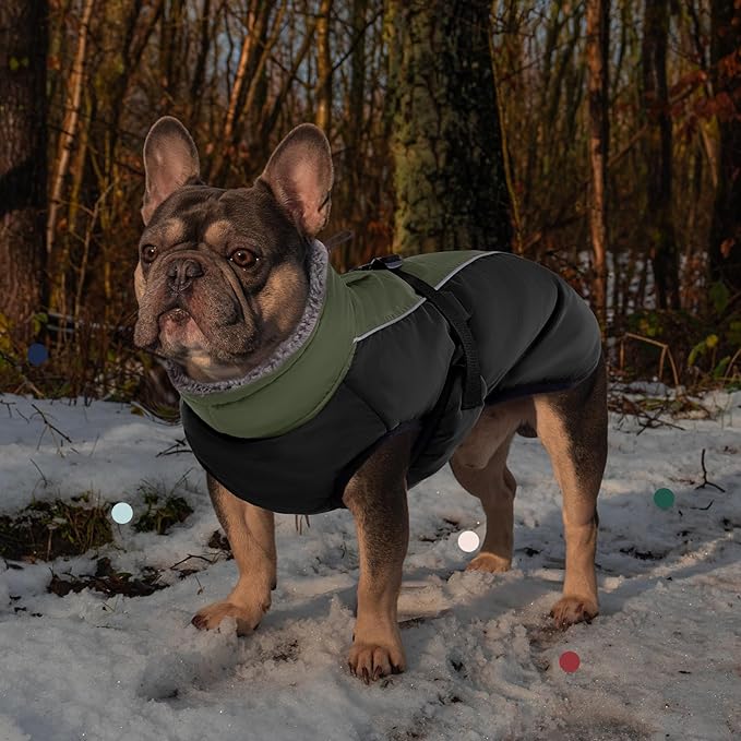 IECOii Dog Winter Coat Reflective Adjustable Dog Jacket Dog Coat with Buckle Fleece Turtleneck for Cold Weather Soft Winter Coat for Small Medium Extra Large Dogs, Army Green