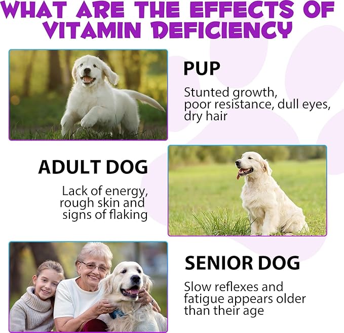 Dog Multivitamin Liquid - 15 in 1 Dog Vitamins Multivitamin, Support Skin & Coat, Heart, Bones and Joint Health, Pet Vitamins and Supplements (2 Fl Oz (Pack of 2))
